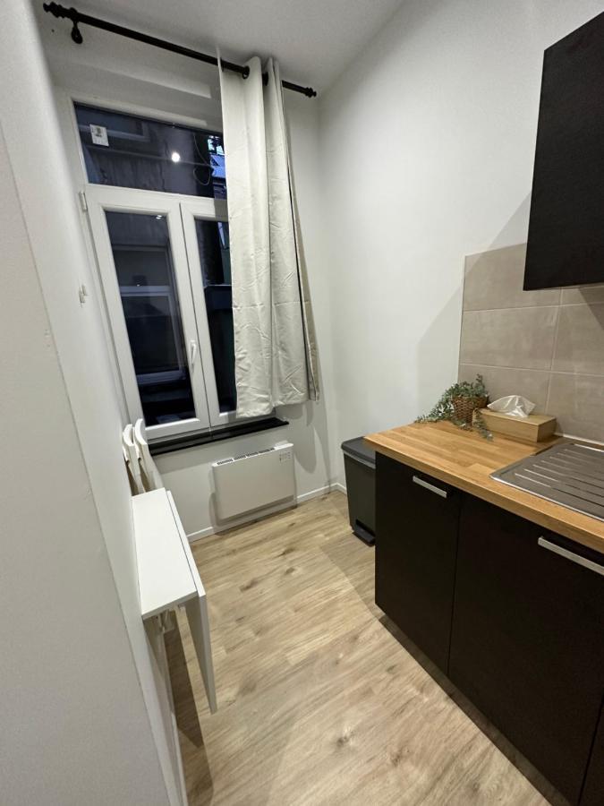 Nouveau Studio Dans Le Centre De Bruxelles エクステリア 写真